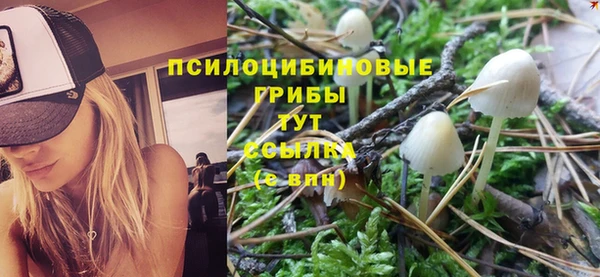МДМА Беломорск