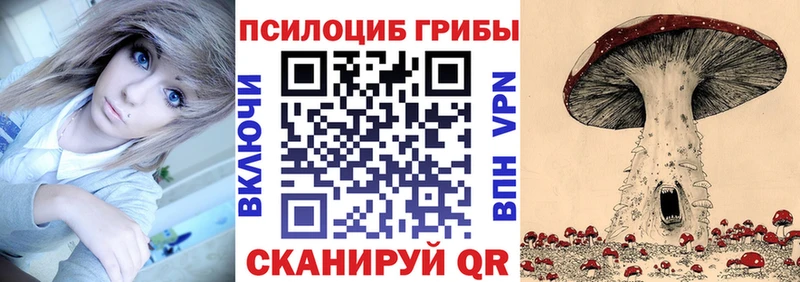 Галлюциногенные грибы Psilocybine cubensis  гидра ссылка  Макаров 
